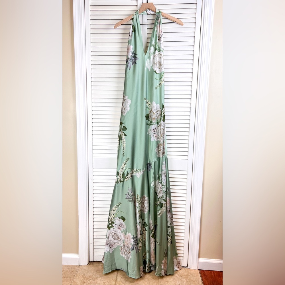 NWT Birdy Grey Stephanie Pistachio Garden Bloom Matte Satin Dress